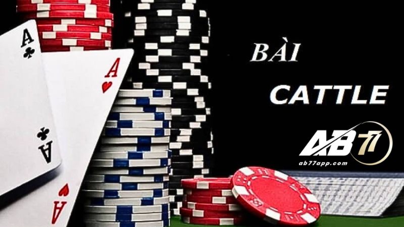 Bài Catte là gì - Tìm hiểu luật chơi game cơ bản