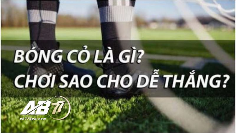 Bỏ túi những tips cược bóng cỏ cứ chơi là thắng