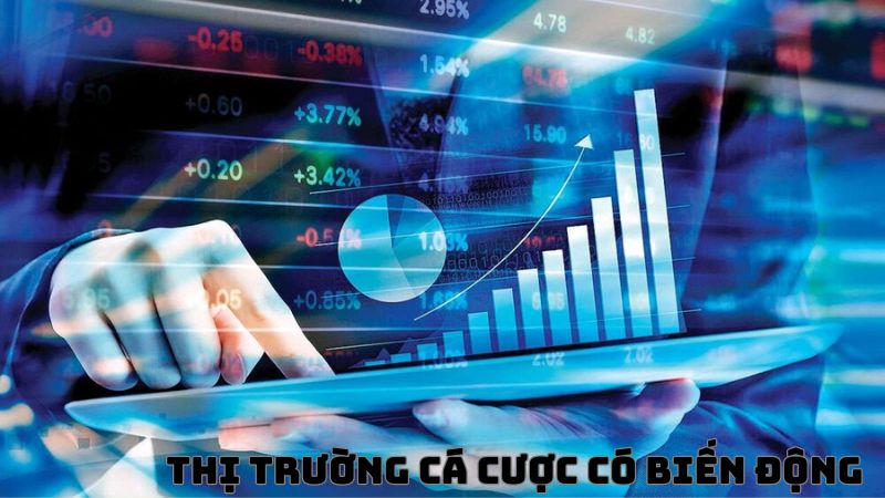 Cách tính biên lợi nhuận của nhà cái bị ảnh hưởng bởi thị trường cược